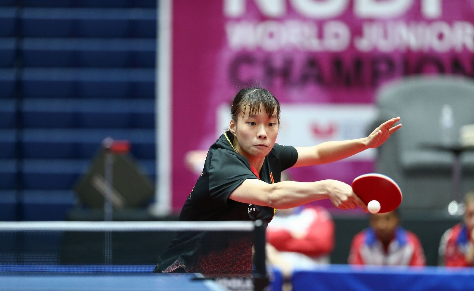 中虽未像华 中虽未像华